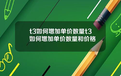 t3如何增加单价数量t3如何增加单价数量和价格