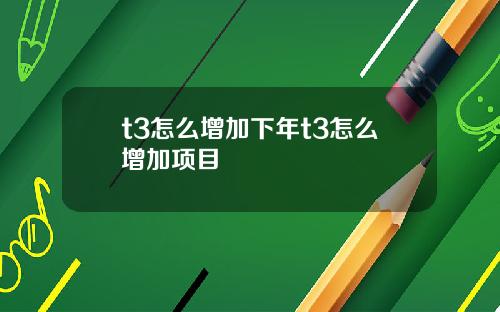 t3怎么增加下年t3怎么增加项目