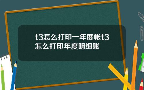 t3怎么打印一年度帐t3怎么打印年度明细账