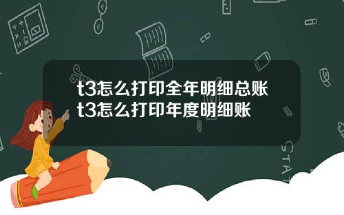 t3怎么打印全年明细总账t3怎么打印年度明细账