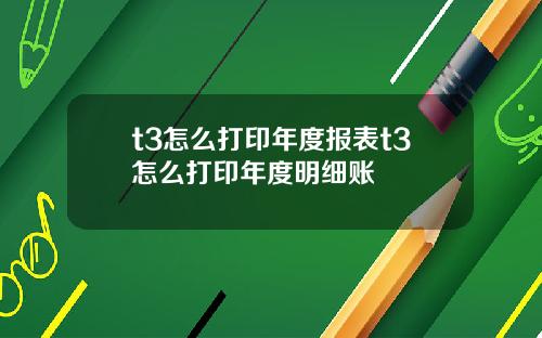 t3怎么打印年度报表t3怎么打印年度明细账