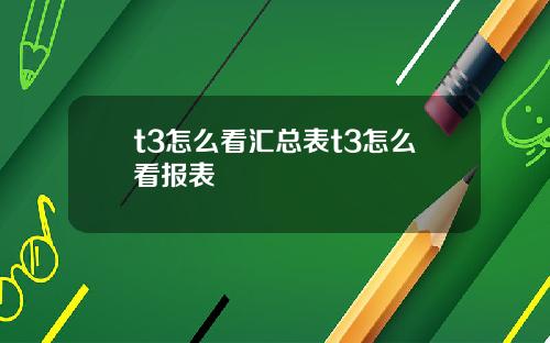 t3怎么看汇总表t3怎么看报表
