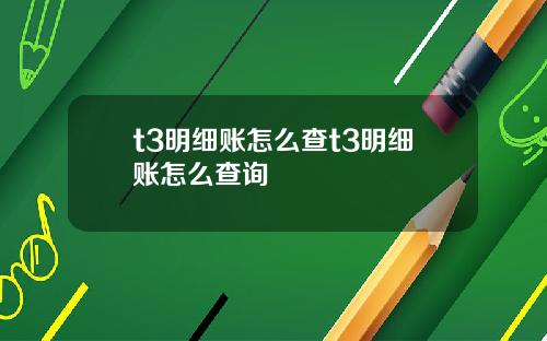 t3明细账怎么查t3明细账怎么查询