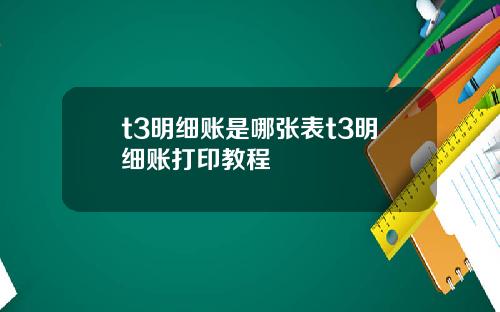 t3明细账是哪张表t3明细账打印教程