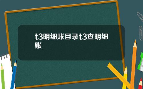 t3明细账目录t3查明细账