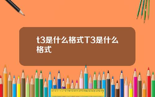 t3是什么格式T3是什么格式