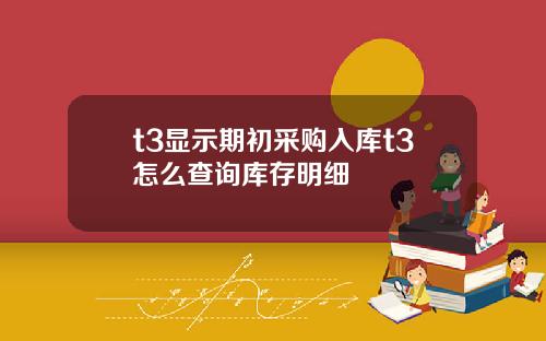 t3显示期初采购入库t3怎么查询库存明细
