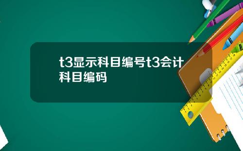 t3显示科目编号t3会计科目编码