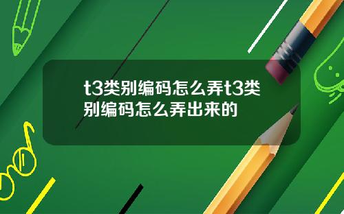 t3类别编码怎么弄t3类别编码怎么弄出来的