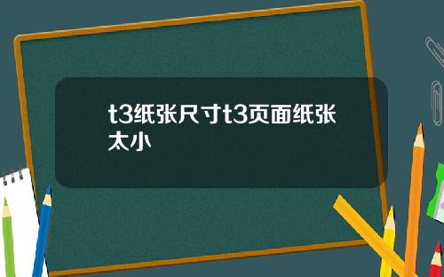 t3纸张尺寸t3页面纸张太小