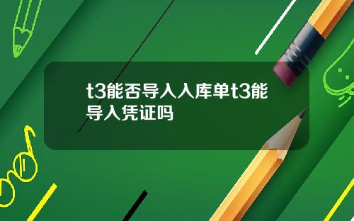 t3能否导入入库单t3能导入凭证吗