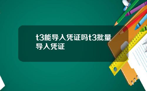 t3能导入凭证吗t3批量导入凭证