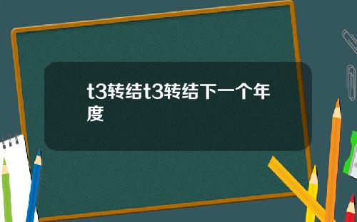 t3转结t3转结下一个年度