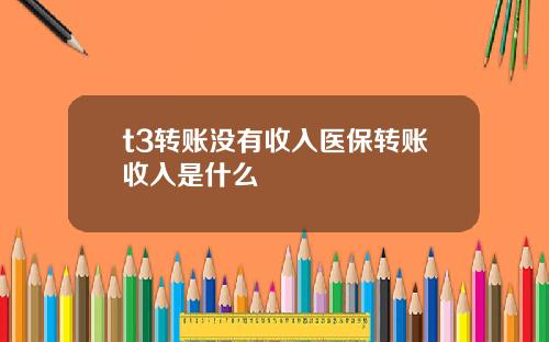 t3转账没有收入医保转账收入是什么