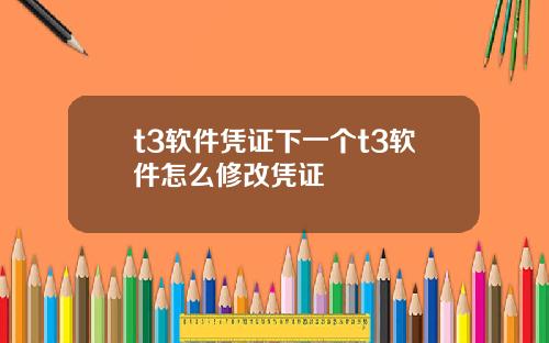 t3软件凭证下一个t3软件怎么修改凭证
