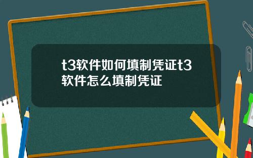 t3软件如何填制凭证t3软件怎么填制凭证