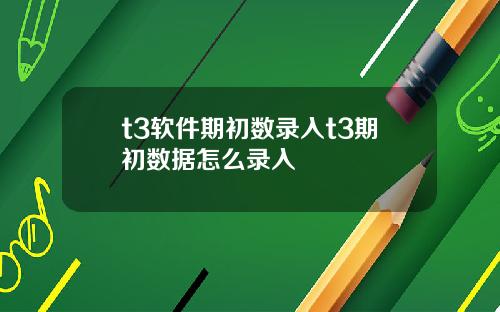 t3软件期初数录入t3期初数据怎么录入