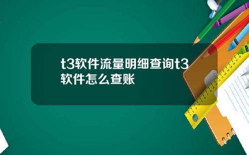 t3软件流量明细查询t3软件怎么查账