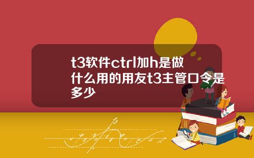 t3软件ctrl加h是做什么用的用友t3主管口令是多少