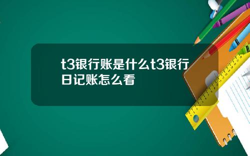 t3银行账是什么t3银行日记账怎么看