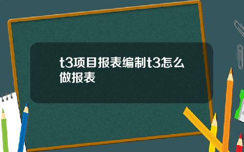 t3项目报表编制t3怎么做报表