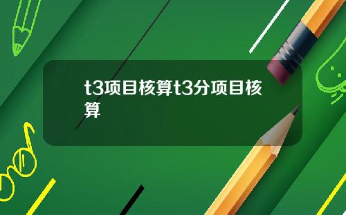 t3项目核算t3分项目核算