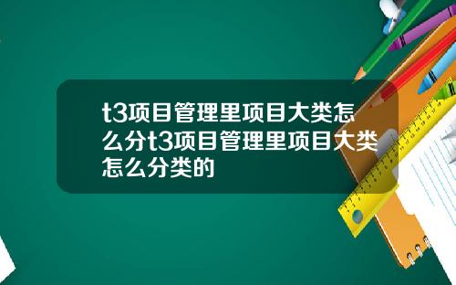 t3项目管理里项目大类怎么分t3项目管理里项目大类怎么分类的