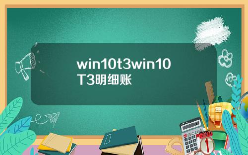 win10t3win10T3明细账