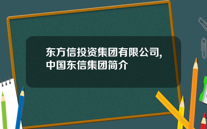 东方信投资集团有限公司,中国东信集团简介