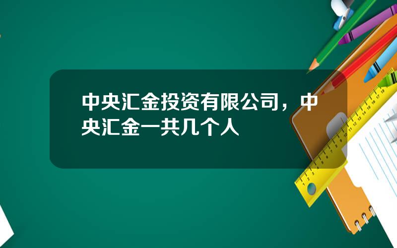 中央汇金投资有限公司，中央汇金一共几个人