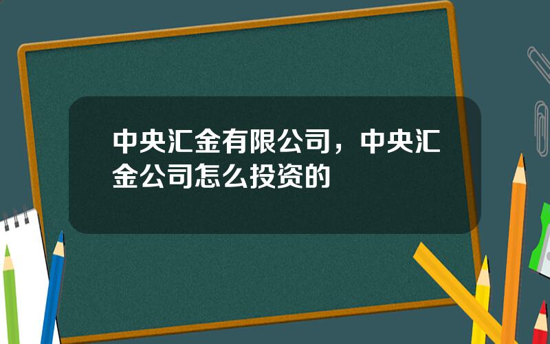 中央汇金有限公司，中央汇金公司怎么投资的