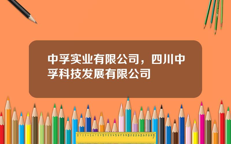 中孚实业有限公司，四川中孚科技发展有限公司