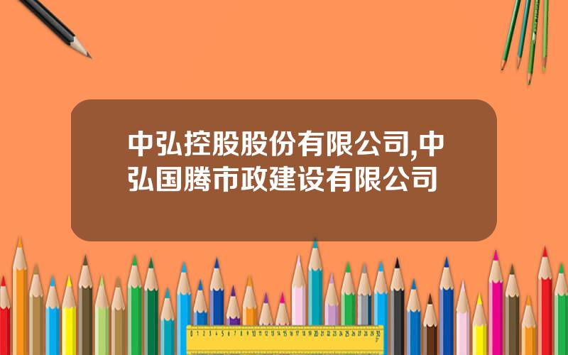 中弘控股股份有限公司,中弘国腾市政建设有限公司