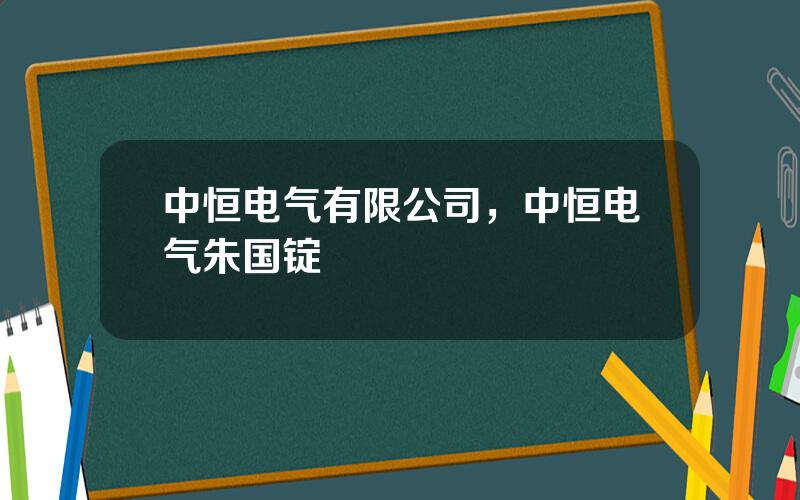 中恒电气有限公司，中恒电气朱国锭