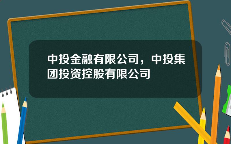 中投金融有限公司，中投集团投资控股有限公司