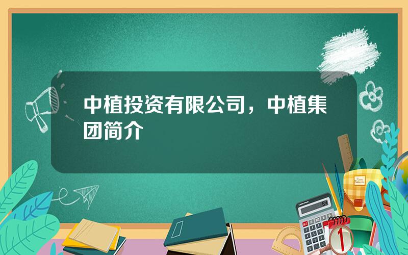 中植投资有限公司，中植集团简介