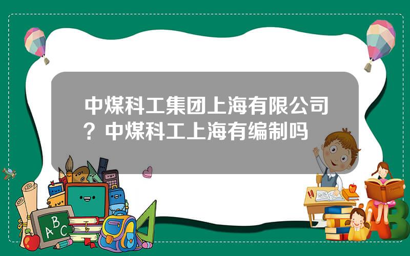 中煤科工集团上海有限公司？中煤科工上海有编制吗