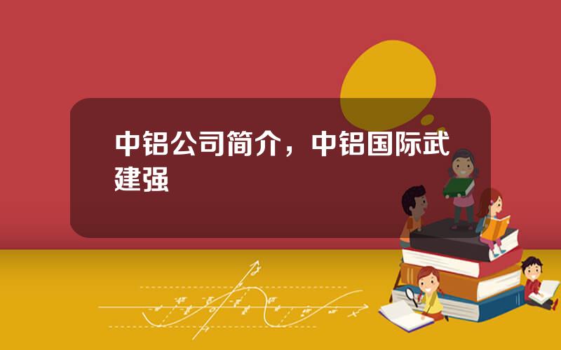 中铝公司简介，中铝国际武建强
