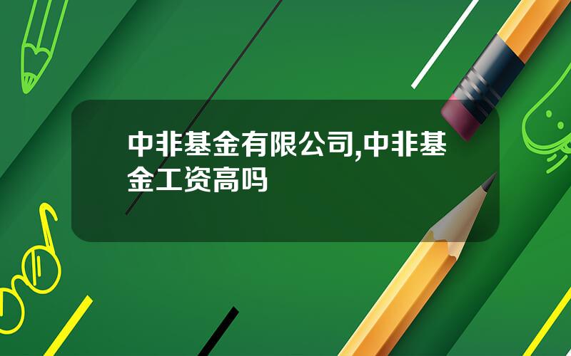 中非基金有限公司,中非基金工资高吗