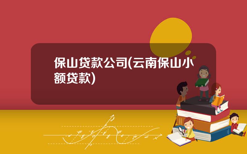 保山贷款公司(云南保山小额贷款)