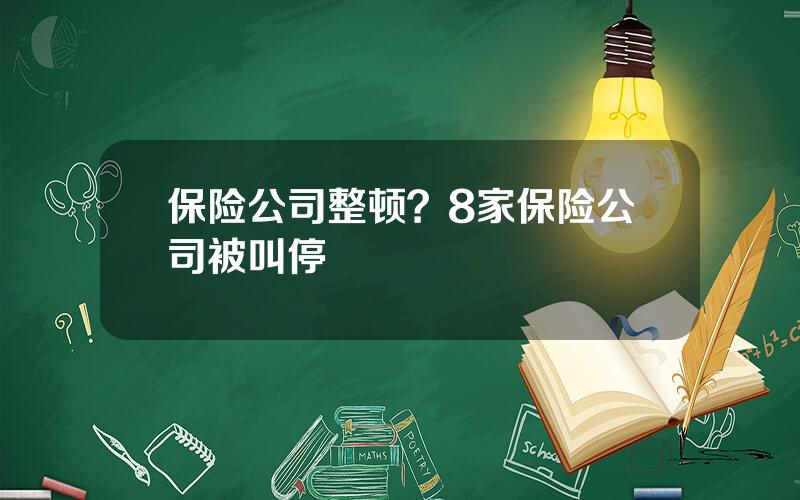 保险公司整顿？8家保险公司被叫停