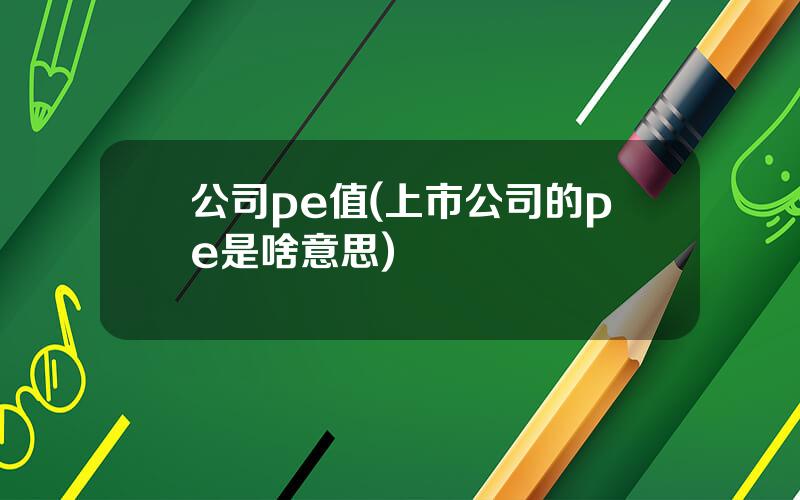 公司pe值(上市公司的pe是啥意思)