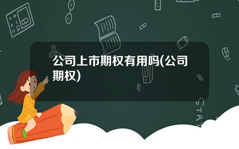 公司上市期权有用吗(公司期权)