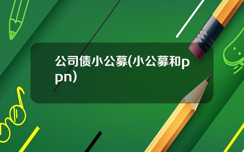 公司债小公募(小公募和ppn)