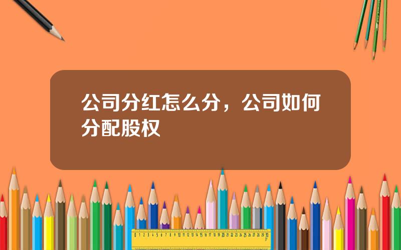公司分红怎么分，公司如何分配股权