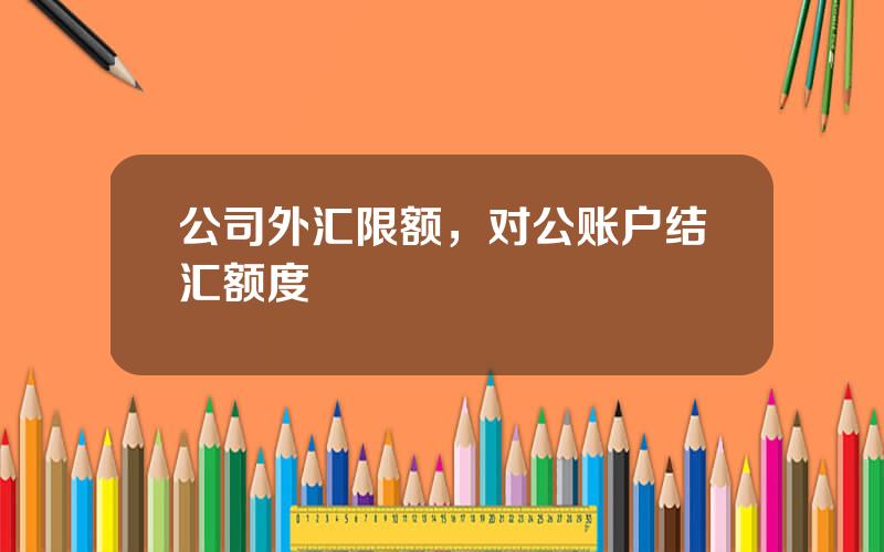 公司外汇限额，对公账户结汇额度
