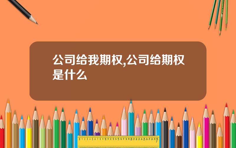 公司给我期权,公司给期权是什么