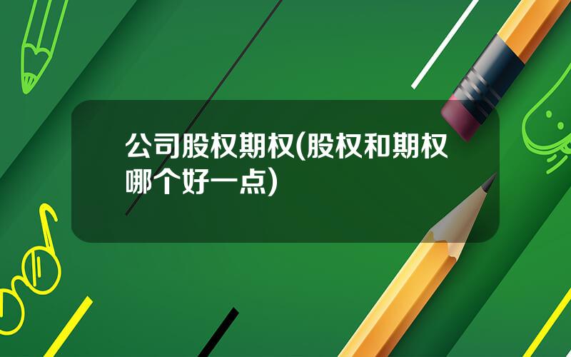 公司股权期权(股权和期权哪个好一点)