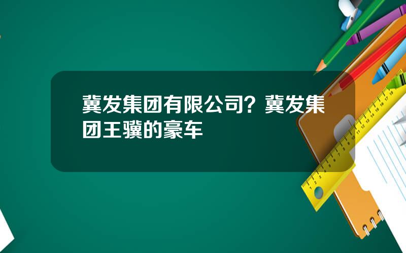 冀发集团有限公司？冀发集团王骥的豪车