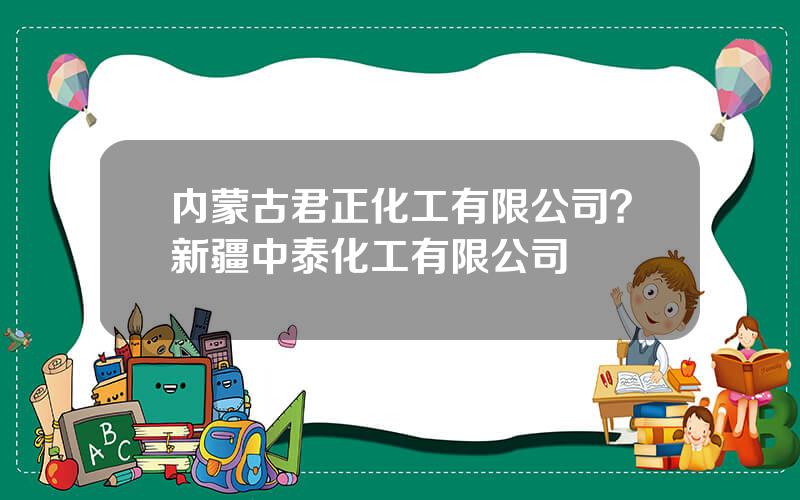 内蒙古君正化工有限公司？新疆中泰化工有限公司
